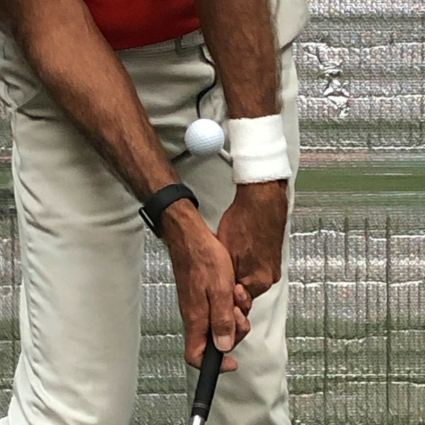 MB Supinator Training Club